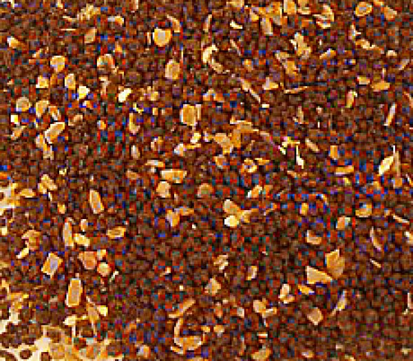 画像2: 冬季限定紅茶　スパイスティー Spice tea【１００ｇ袋】 (2)