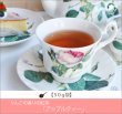 画像1: アップルティー　Apple tea【５０ｇ袋】 (1)