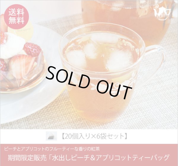 画像1: 期間限定紅茶　水出しティーバッグ ＜ピーチアプリコット＞【２０個入袋×６袋セット】送料無料（北海道、九州、沖縄を除きます） (1)
