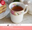 画像1: アプリコットティー　Apricot tea【１００ｇ袋×８袋セット】送料無料（北海道、九州、沖縄を除きます） (1)